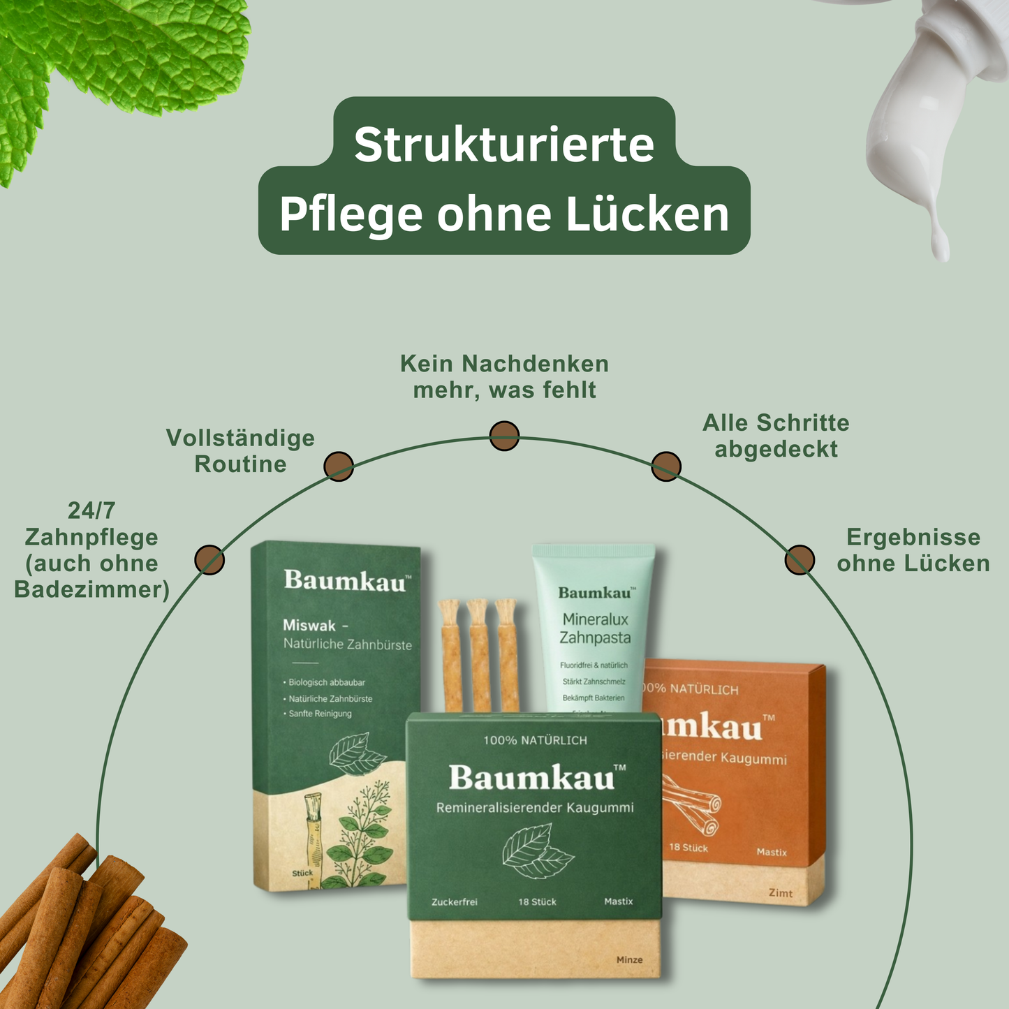 Baumkau™ Rundum Bundle