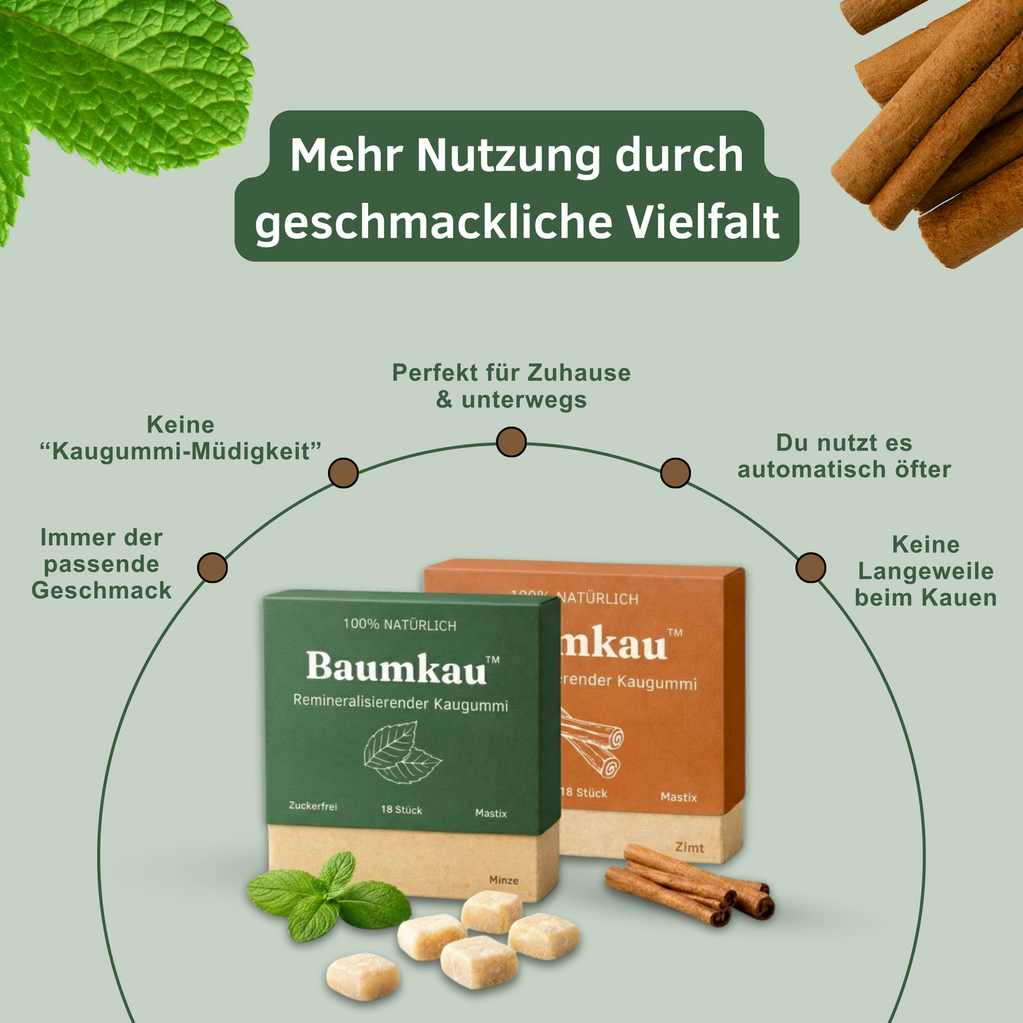 Baumkau™ Geschmacks Bundle