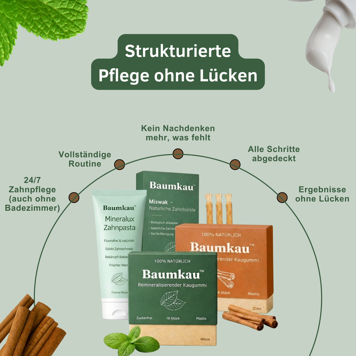 Baumkau Rundum Bundle