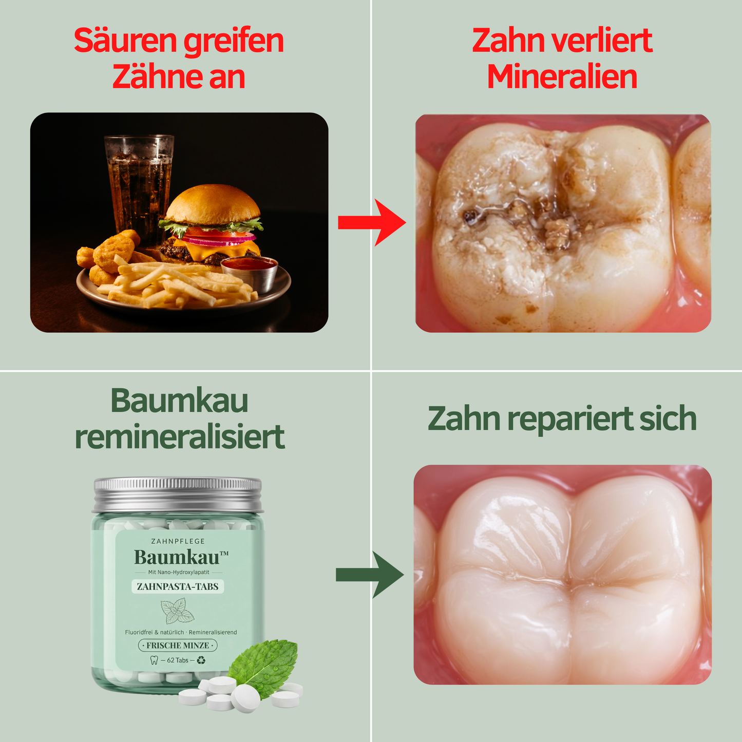 Baumkau - Zahnpasta Tabs