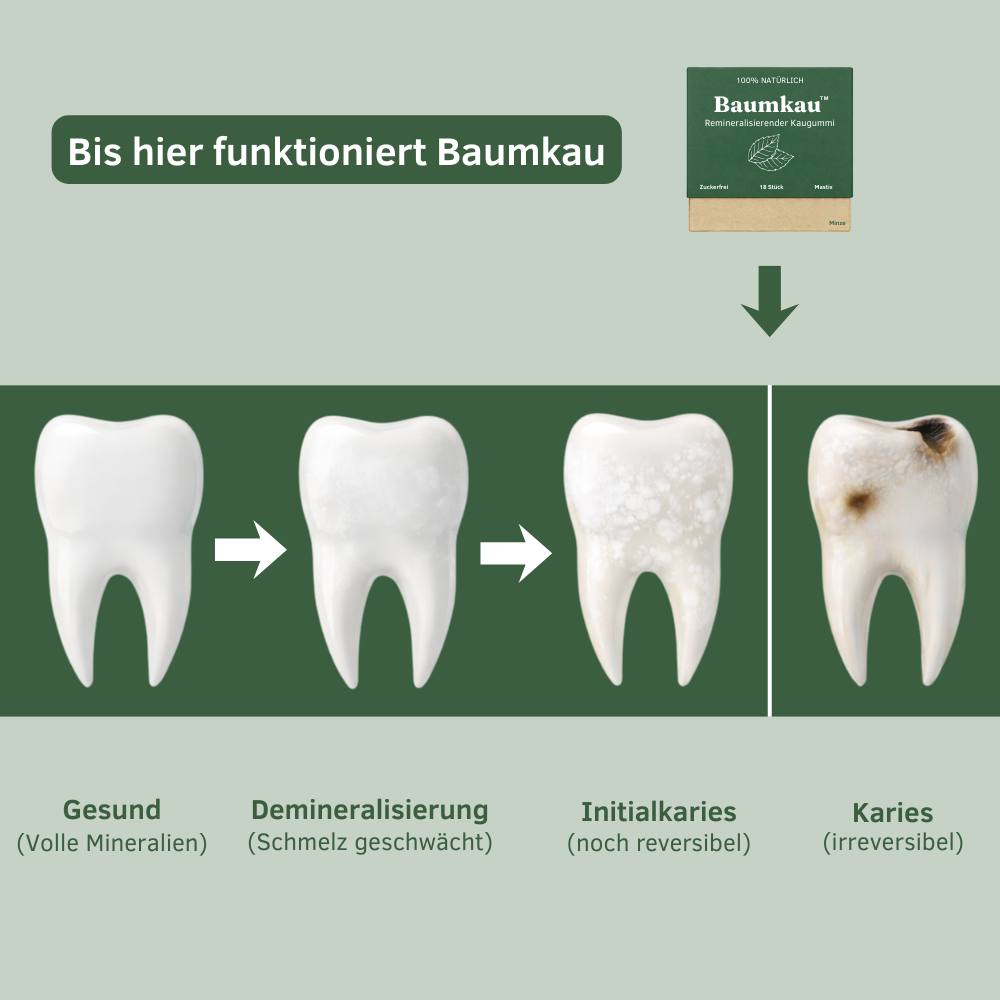 Baumkau - Remineralisierender Kaugummi (Zimt)