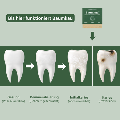 Baumkau - Remineralisierender Kaugummi (Zimt)