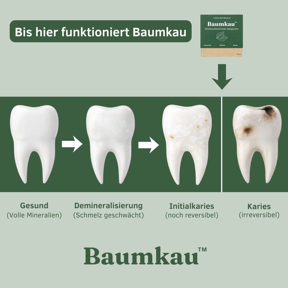 Baumkau™ - Remineralisierender Kaugummi