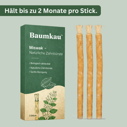 Baumkau - Miswak natürliche Zahnbürste (3Stk.)