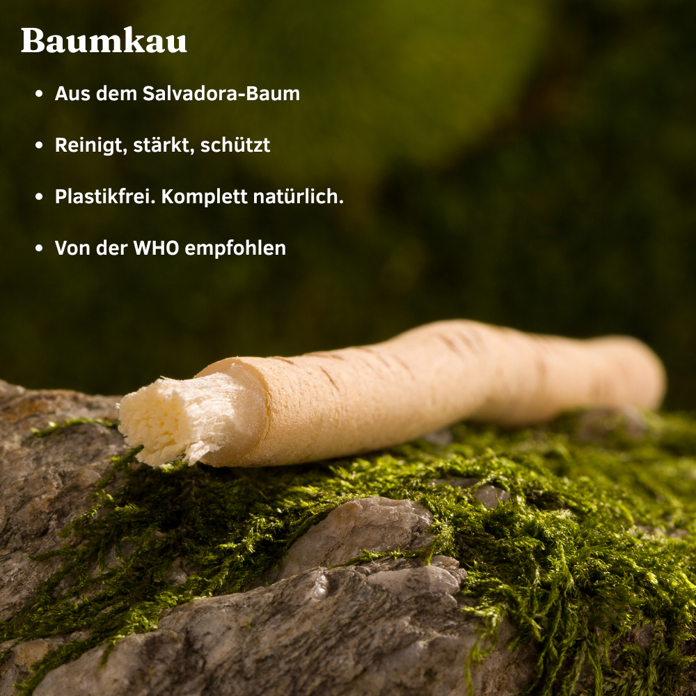 Baumkau - Miswak natürliche Zahnbürste (3Stk.)