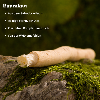 Baumkau - Miswak natürliche Zahnbürste (3Stk.)
