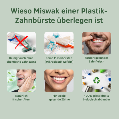 Baumkau - Miswak natürliche Zahnbürste (3Stk.)