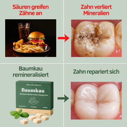 Frische Minze