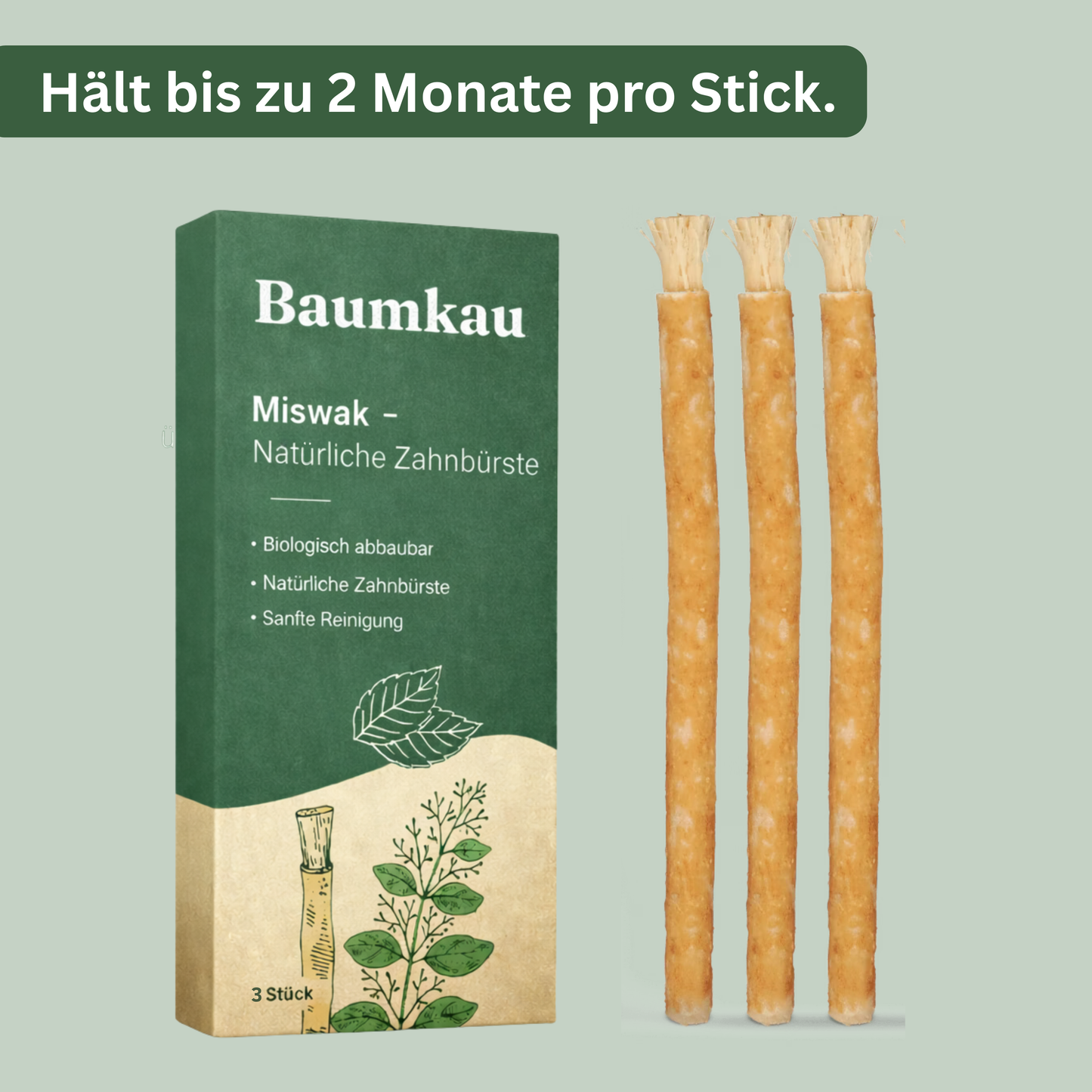 Baumkau - Miswak natürliche Zahnbürste (3Stk.)