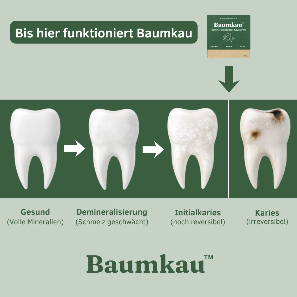 Baumkau™ - Remineralisierender Kaugummi