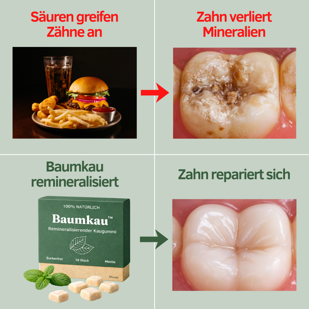 Baumkau™ - Remineralisierender Kaugummi