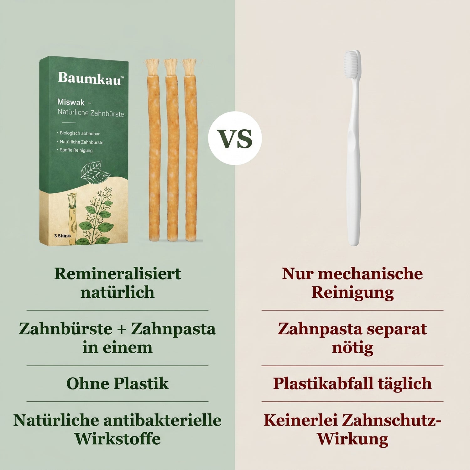 miswak aufbewahren Miswak Zahnbürste kaufen | 100% Natürlich & Plastikfrei